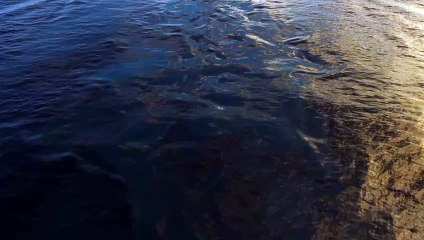 Doctor Odyssey Trailer