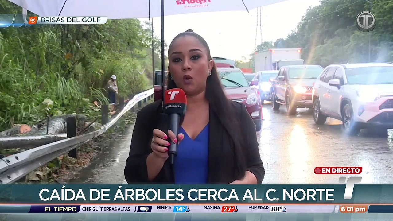 Caida de Arbol.mp4