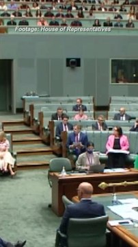 Zali Steggall calls for swift sentencing overhaul for gendered violence