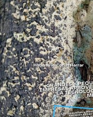 |HABIB ARIEL CORIAT HARRAR | MÉXICO: LIDERANDO LA IA EN LATINOAMÉRICA (PARTE 2) (@HABIBARIELC)