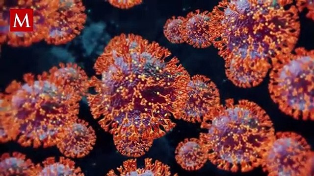 Conoce cuáles son los síntomas de 'Flirt’ la nueva variante de covid-19