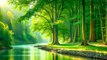 Relaxing Piano Music with Beautiful Nature - Stop Overthinking, Stress Relief Music, Calming Music
