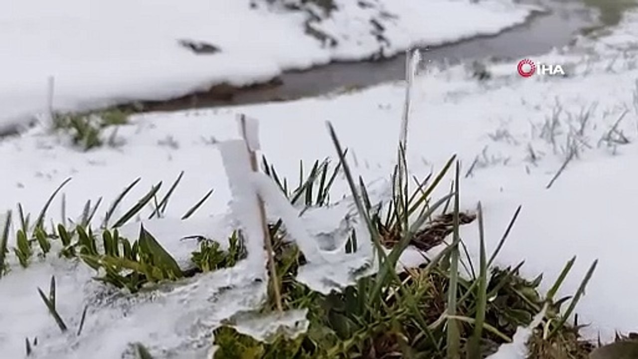 Mayıs ayında kar sürprizi! Lapa lapa kar yağdı