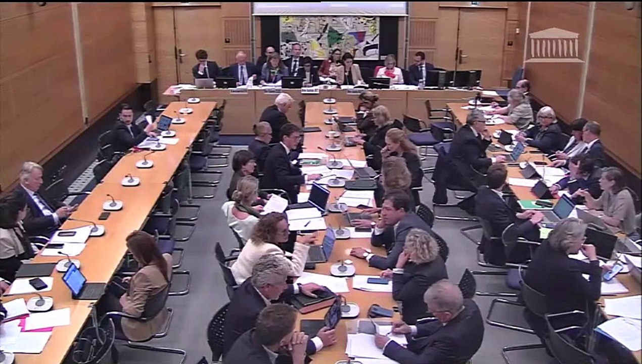 Commission des affaires culturelles : Réforme de l’audiovisuel public et souveraineté audiovisuelle (suite) - Mardi 14 mai 2024