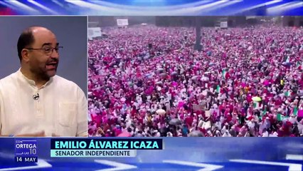 En la concentración de la "Marea Rosa" no hay acarreos como en las de Morena: Emilio Álvarez Icaza