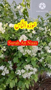 Surah An Naas | Tilawat quran | Beautiful voice | Learn Quran | Bubak learn quran