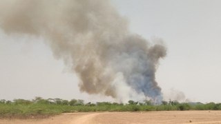 जिले के रजवड़ मैदान में एक बार फिर लगी आग, देखें वीडियो