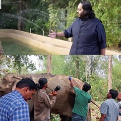 #Vantara और अनंत अंबानी की जमकर हो रही तारीफ