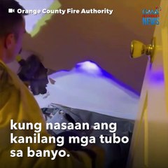 Aso, na-trap sa likod ng pader | GMA Integrated Newsfeed