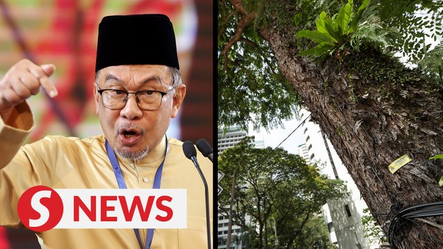 Hundred trees to be planted for every one cut in KL, says PM