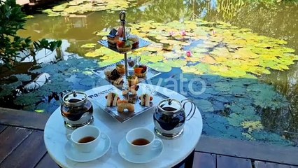 The Surprising History of Tea ☕ and Fascinating Facts You Didn't Know