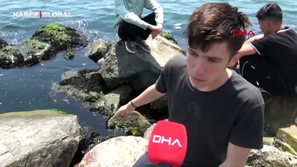 İstanbul'da sahilde ölü caretta caretta bulundu