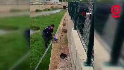 Dereye düşen yavru köpek için itfaiye seferber oldu