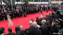 Messi, il cane star conquista il tappeto rosso di Cannes
