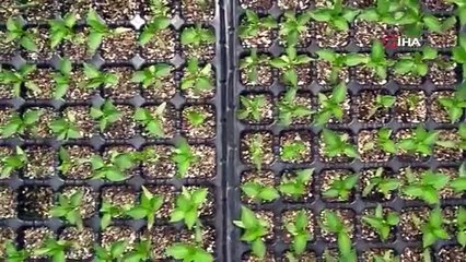 Liseliler üretiyor, tüm Türkiye tüketiyor...