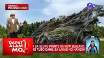 Mga puno sa New Zealand, pahiga ang tubo dahil sa lakas ng hangin | Dapat Alam Mo!
