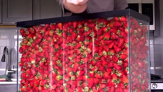 100 litres strawberries vs guy