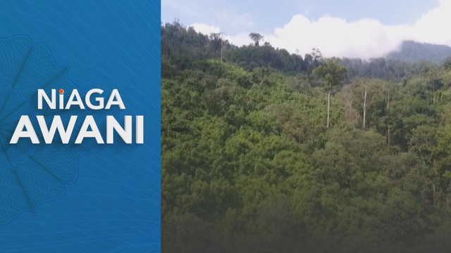 Niaga AWANI: Jepun penyumbang utama eksport kayu sarawak dengan nilai RM1.67 bilion pada 2023