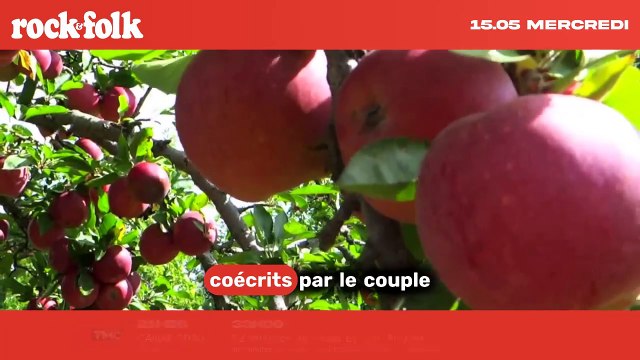 De la musique à l'amour : Les duos d'artistes qui ont conjugé leurs talents