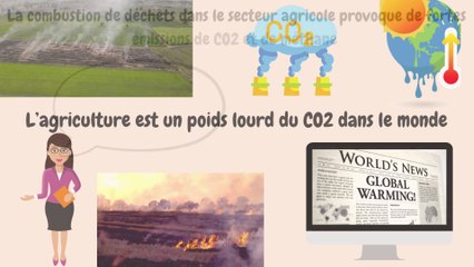 AGROENERGY: ou comment se tourner vers une agriculture plus verte ?