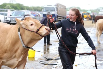 DAERA Minister Andrew Muir arrives at 155th Balmoral Show