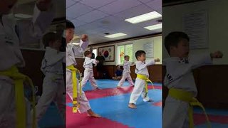 Little Kids Attending Taekwondo Training