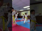 Little Kids Attending Taekwondo Training