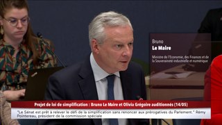 100% Sénat - Projet de loi simplification de la vie économique : B. Le Maire et O.Grégoire au
