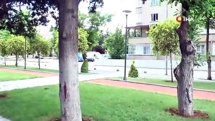 Tavuk Karası Hastalığına Dikkat!