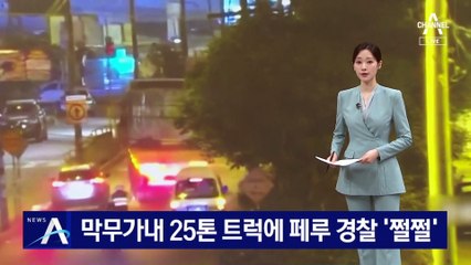 막무가내 25톤 트럭에 페루 경찰 ‘쩔쩔’