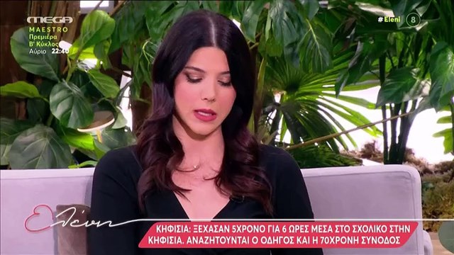 Ελένη Μενεγάκη: Ατύχημα στο πλοίο για Άνδρο