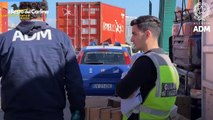 Maxi sequestro di medicinali illegali: il video