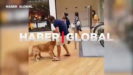 Yürüyen merdivenden korkan köpeği için kendini ortaya koydu: "Ya seninle ya da seninle"