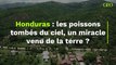 Les poissons tombés du ciel à Yoro, au Honduras, un 