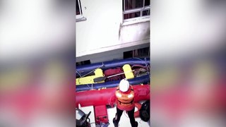 Veja o momento que uma égua é resgatada no 3º andar de um prédio em São Leopoldo, RS