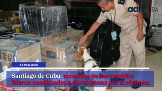 Las noticias más leídas en ADN Cuba hoy Mayo 15