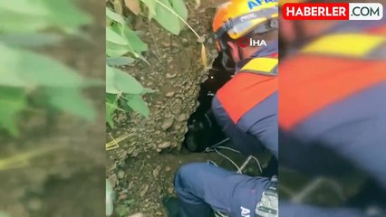 Yer altı mağarasında mahsur kalan keçi kurtarıldı