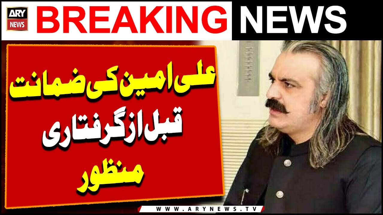 Ali Amin Gandapur granted pre-arrest bail in 11 cases