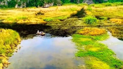 Ân tình Gia Viễn (Hát chèo) - Viết lời Thảo Quyên