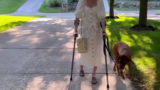 La belle histoire de Cienna, paralysée, qui remarche grâce à son chien Piper