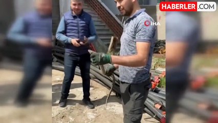 Çanakkale'de su boruları içinden zehirli engerek yılanı çıktı