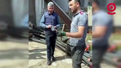 Boruların arasından zehirli engerek yılanı çıktı, görenler neye uğradığını şaşırdı!