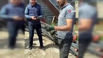 Su borularından zehirli engerek yılanı çıktı