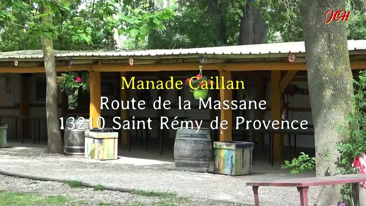 Manade Caillan Journée entre amis