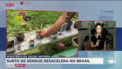 Surto de dengue desacelera no Brasil