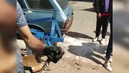Traktör sanayiye gitti! Su borusundan zehirli engerek yılanı çıktı..