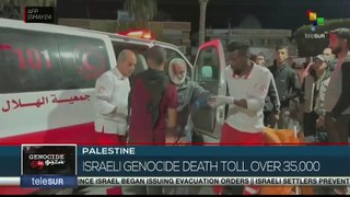 Palestine: more than 35,000 people killed since start of conflict