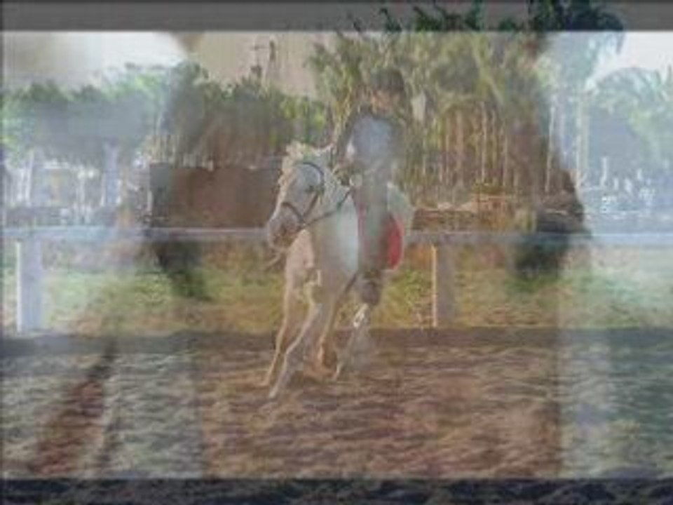 Zuste les Chvo koi !