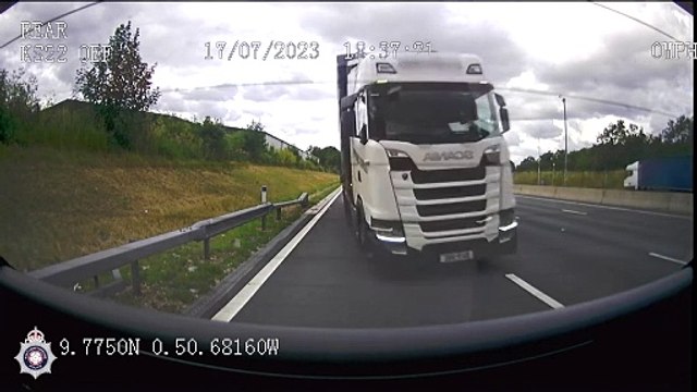 Lorry driver sentenced after killing beloved family horse on M1 near Northampton