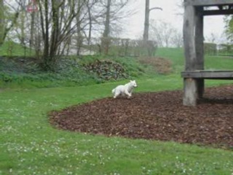 Jardin des deux rives